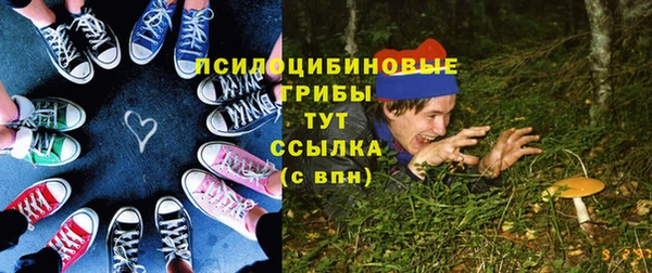 мдпв Гусев
