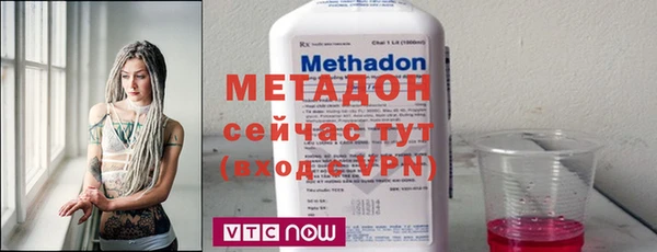 прущие грибы Дмитров