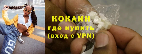 крисы Дмитриев