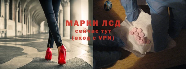 прущие грибы Дмитров