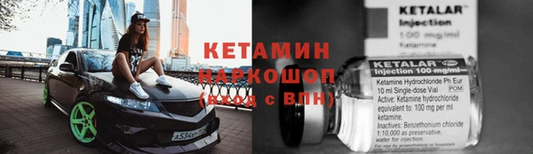 прущие грибы Дмитров