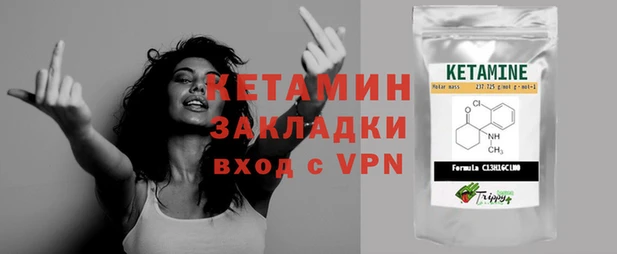 крисы Дмитриев