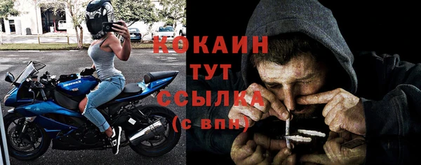 мдпв Гусев