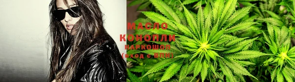 крисы Дмитриев