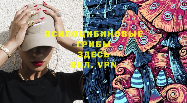 мдпв Гусев